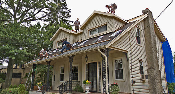 Best Metal Roofing Contractor  in Punta Rassa, FL